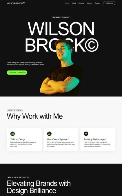 Web designer portfolio template preview